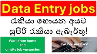 Top 15 Data Entry Jobs in Sri Lanka | Work-from-Home and Onsite Opportunities (2024)