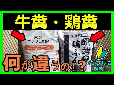 【家庭菜園や畑で使う肥料の基本！】初心者必見！春の土作り！マスターして欲しい牛糞堆肥と鶏糞堆肥の特徴を分かりやすく解説！牛糞と鶏糞は使い方が全く違う！価格・元肥・追肥・成分・メリット・デメリットも解説