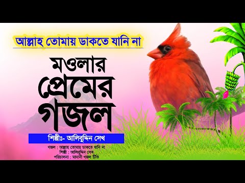 আল্লাহর প্রেমের জগতের সেরা গজল | আল্লাহ তোমায় ডাকতে যানি না | Beautiful Bangla Gojol | Alibuddin Sk