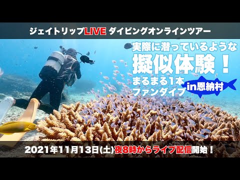 LIVE｜実際に潜っているような擬似体験！まるまる1本ファンダイブin恩納村・山田ポイント ジェイトリップLIVEダイビングオンラインツアー