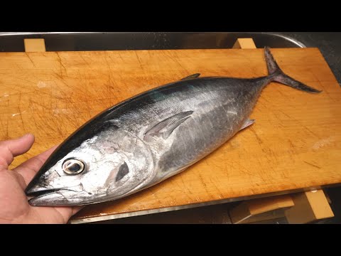 マグロのさばき方と刺身~How to fillet tuna and sashimi