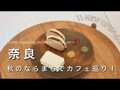 [Nara vlog] Autumn Nara! The cafe that opened in Naramachi was too stylish😊