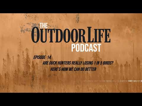 Episode 14: Are Duck Hunters Really Losing 1 in 5 Birds? Here’s How We Can Do Better