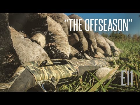 Early Goose Hunting Season Tips