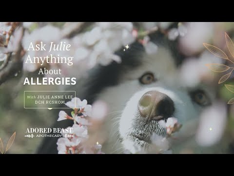 Ask Julie Anything - April 2024 - All About Allergies