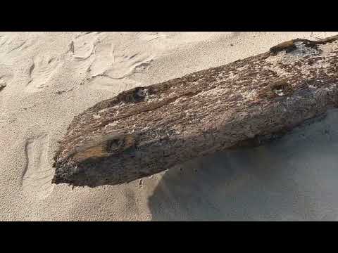 Mysterious Find: Ship Deck Artifact WashedAshore