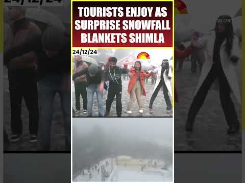 Tourists Dance, Cheer As Shimla Receives Second Spell Of Snowfall | #shorts