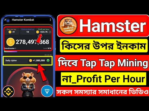 Hamster কিসের উপর ইনকাম দিবে । Hamster Kombat New Update | Hamster Kombat Profit Per Hour । hamster