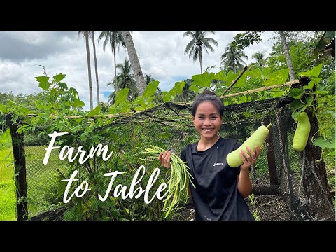 Let's pick some available veggies to cook for lunch (Batong,Upo) Stirfry and Stew |Bohol,Philippines