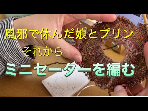 【手編み日記】ミニセーターを編む〈風邪で休んだ娘と久しぶりに作ったプリン〉