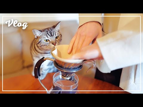 When I brew coffee at home, my cat looks like this [Vlog].