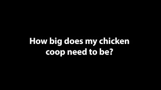 How Big Does My Chicken Coop Need To Be? - Chickens in A Minute