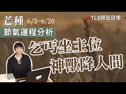 6/5~6/20 運程分析｜芒種不利小人? 天地間的能量，適合什麼人際互動策略? 疫情下取財的建議? 居家養生分享 【小知道】