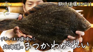 デカいほど美味い、北海道の高級魚『まつかわがれい』をバター風味のムニエルに【白鶴 presents Georgeのおうちビストロ】