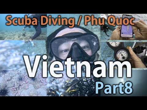 Surviving a Mishap! Playing with Sea Urchins on the Phu Quoc Tour [Vietnam Day 3 Part 8]