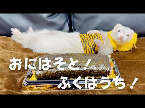 【2025節分】鬼の衣装を着せたらハプニング発生（笑）来年は新調しようかな…【ferret#1736】