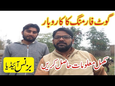 Goat farming business in pakistan | goat farming business | Smart Business Plan