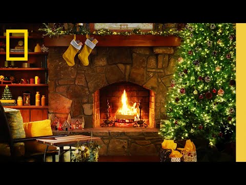 1 HOUR Crackling Fireplace & Holiday Background Music Ambience | 12 Days of Nat Geo