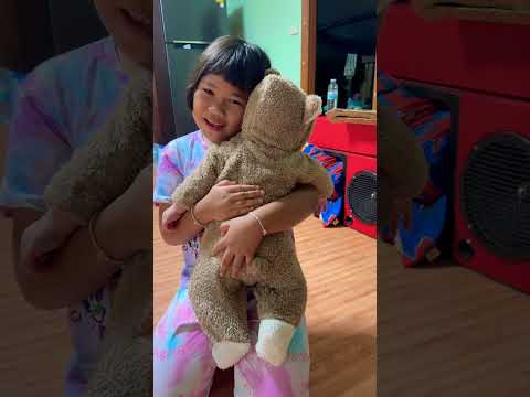 Koala bear #shorts #subscribe #share #viral #thailand #bear #teddy