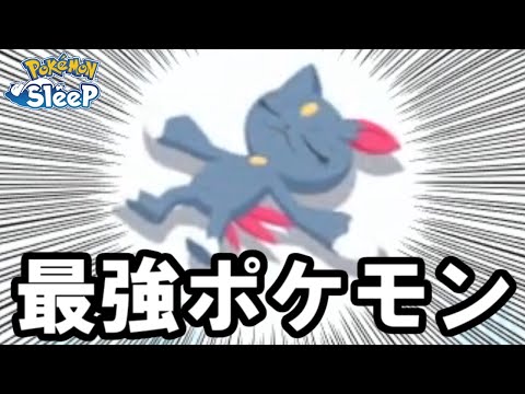 最強と2日連続の決闘をしてきました。【ポケモンスリープ】