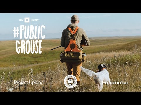 #PublicGrouse - A Feature Film on Grouse Hunting America - Official Teaser