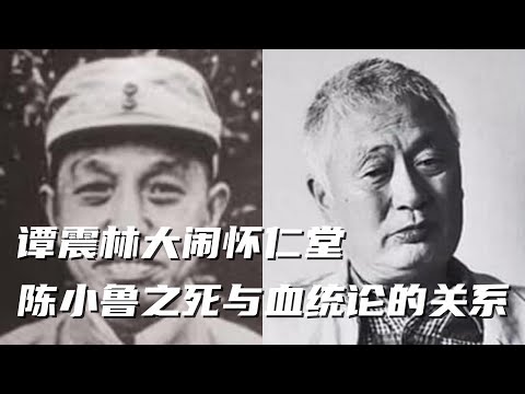 文化大革命43，二月逆流，谭震林大闹怀仁堂，陈小鲁之死和血统论的一脉相承，陈毅跟陈丕显的亲密关系，一场私人宴会看毛泽东在1966年对党的控制力远不如习近平。#文化大革命#毛泽东#文革#周恩来#中共政權