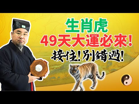 49天倒計時開始！生肖虎將迎來大運，財運已在路上，奇蹟將會發生！接住，別錯過！ #2025年生肖虎運勢 #2025年生肖虎運程 #2025年屬虎運勢 #2025年屬虎運程