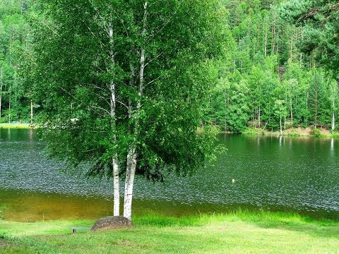 День рождения Галине