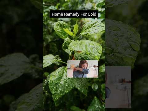 Cold உடனே சரியாக இப்படி செய்து பாருங்க!#remedy #homeremedy