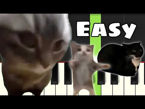 3 Famous Cat Memes | EASY Piano Tutorial