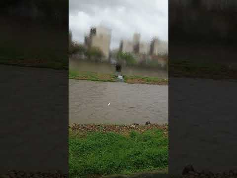 連日大雨 清澈溪流變泥流