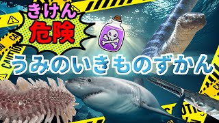 【子供向け 水族館】危険！海の生き物　ガンガゼ、オニダルマオコゼ、ウミヘビ、ダツ【危険生物】