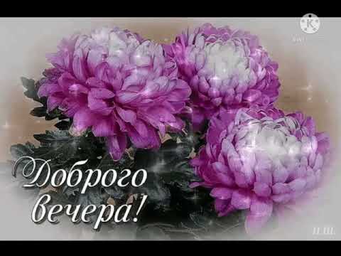 Добрый вечер! 🌃🌃🌃 Хорошего настроения! 💐💐💐