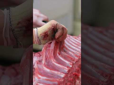 [Inside the Kitchen] Amazing! 200kg Giant Tuna Cutting Process #shorts