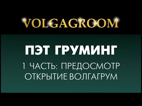 VOLGAGROOM 16.02 ПЭТ - предосмотр 1 половина дня