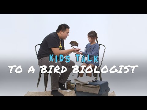 Nihi! KIDS TALK to a Bird Biologist | KIDS TALK | Nihi!