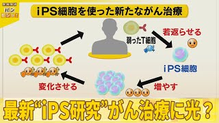 【最新“iPS研究”】「がん治療」に新たな光？ 山中伸弥教授が解説『バンキシャ！』