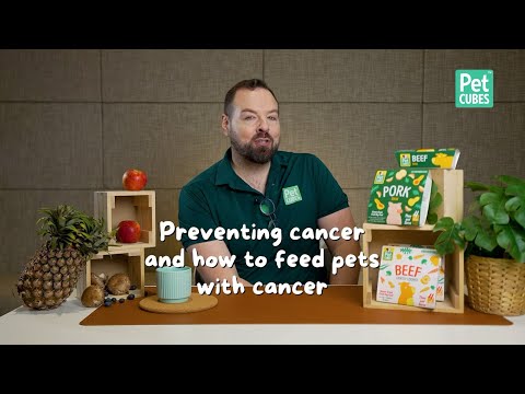 Preventing & Managing Cancer in Pets | Best Diets for Pets with Cancer | Pet Health Tips