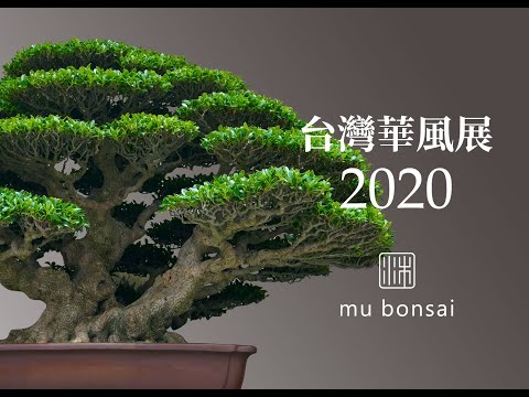 台灣華風展 2020 逸品獎完整版∣全國盆栽展 the 25th HWA-FONG National Bonsai Exhibition in 2020. Taiwan