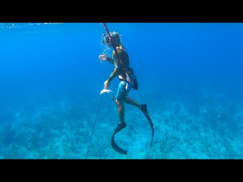 Spearfishing A Reef For Food On A Small Island {Catch Clean Cook}