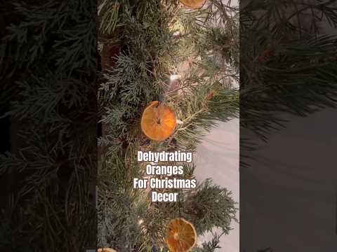 Today on the Homestead:Dehydrating Oranges Natural Christmas Decorations | DIY Holiday Decor #Shorts