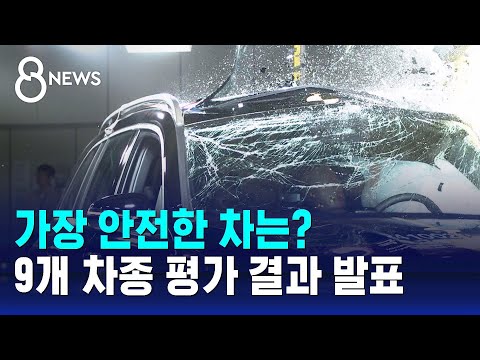 가장 안전한 차는?…국내외 9개 차종 평가 결과 발표 / SBS 8뉴스