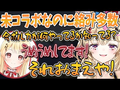 【切り抜き】コラボしてないのに絡みがいっぱい！11月4日までのポルなで絡みネタを全部まとめてみた！【尾丸ポルカ/音乃瀬奏】#ホロライブ #REGLOSS