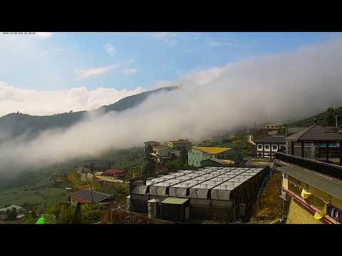 阿里山即時影像-生力農場-雲瀑-縮時 | Cloud Waterfall Timelapse in Alishan, Taiwan