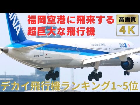 【日本1忙しい空港】 福岡空港に飛来する超巨大な飛行機ランキング1~5位!  大型機の圧巻すぎる離着陸! Big Airplane Ranking at Fukuoka Airport