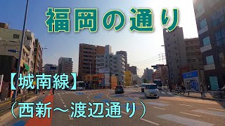 福岡の通り　⑲城南線（西新→渡辺通り１丁目）