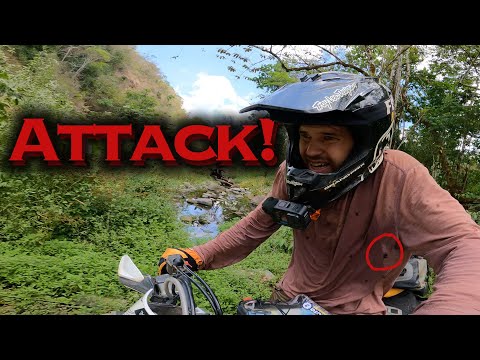 I Got Attacked while Crossing a River in Panama! Ep | 90