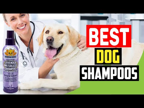 ✅Best dog shampoos in 2023