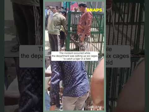 Watch a forest official got trapped inside a cage in Uttar Pradesh. #uttarpradesh