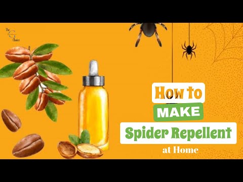 3 Ways to Make Spider Repellent at Home | The Guardians Choice